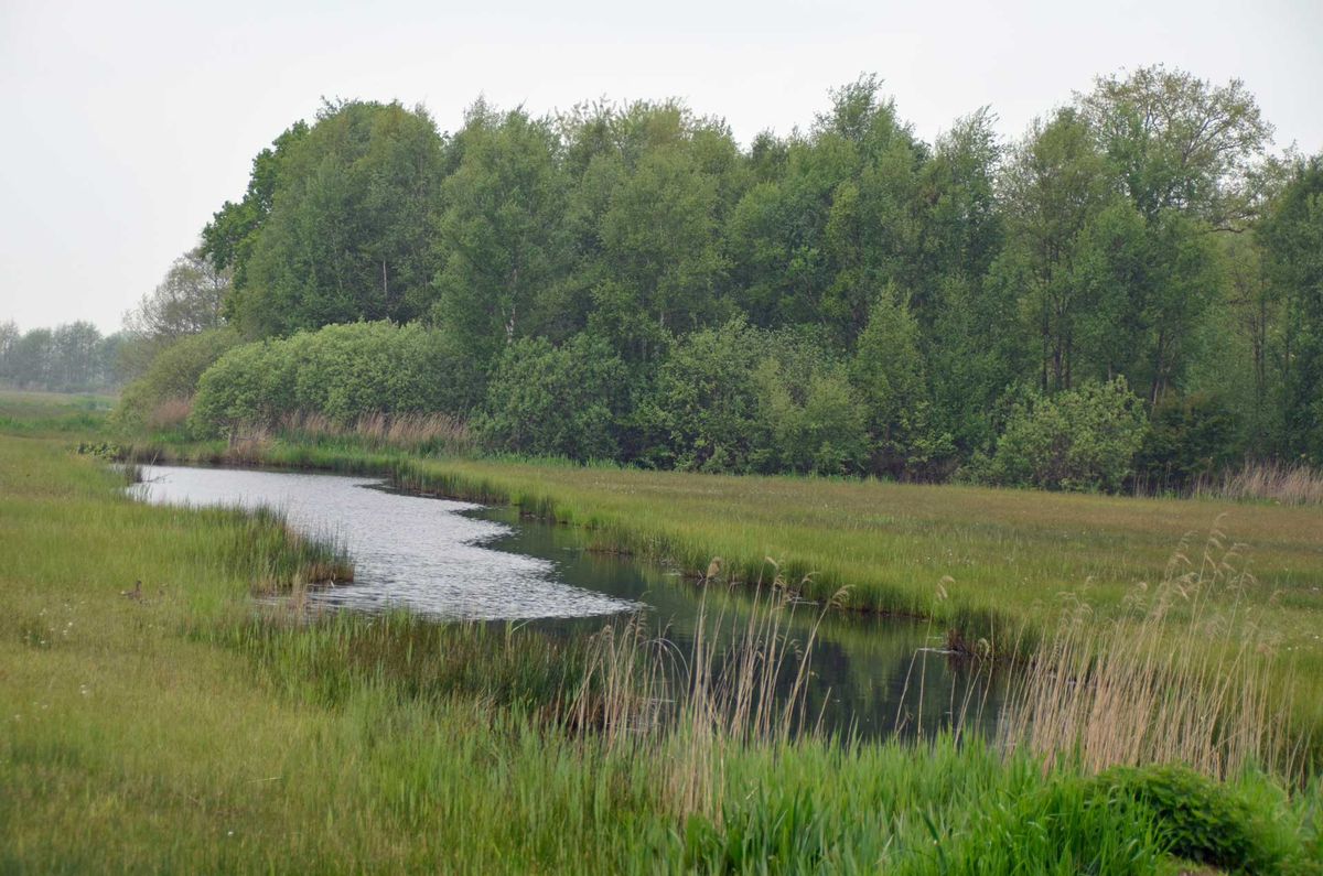 Binnenpolder Terheijden (foto: Jan van Vliet, 2023)