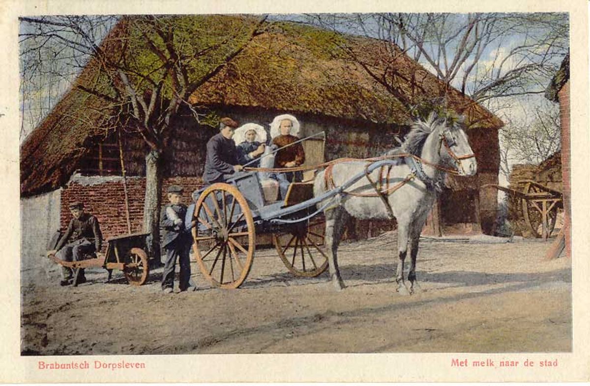 Met melk naar de stad (kaart van J.H. Schaefer). Voor speciale gelegenheden werd de hoogkar ook ingezet als snel vervoermiddel, bijvoorbeeld voor de doop van een kind als het gezin ver van de kerk woonde. Ook werd de priester of de dokter ermee opgehaald als er haast bij zijn komst was. Een overledene maakte zijn laatste rit naar de kerk ook vaak in een hoogkar.