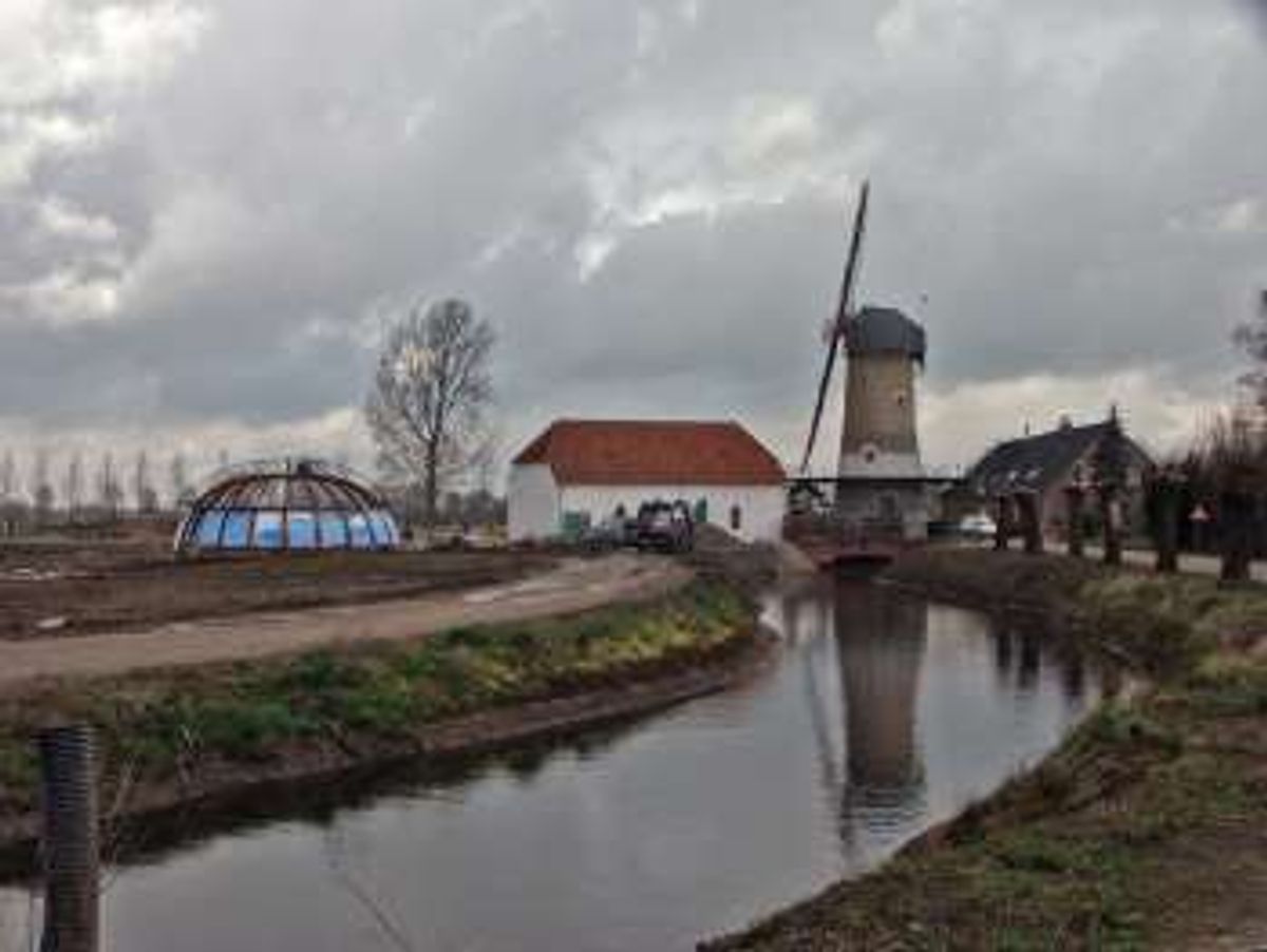Situatie 2009