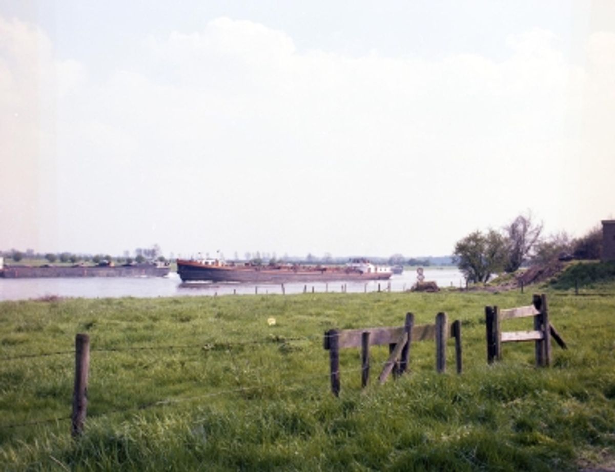 Vrachtschepen op de Maas