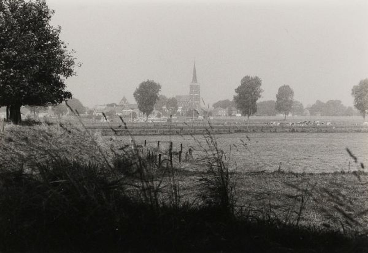 Blik op de Maasoevers. Op de achtergrond is de toren van Batenburg zichtbaar (PNB)