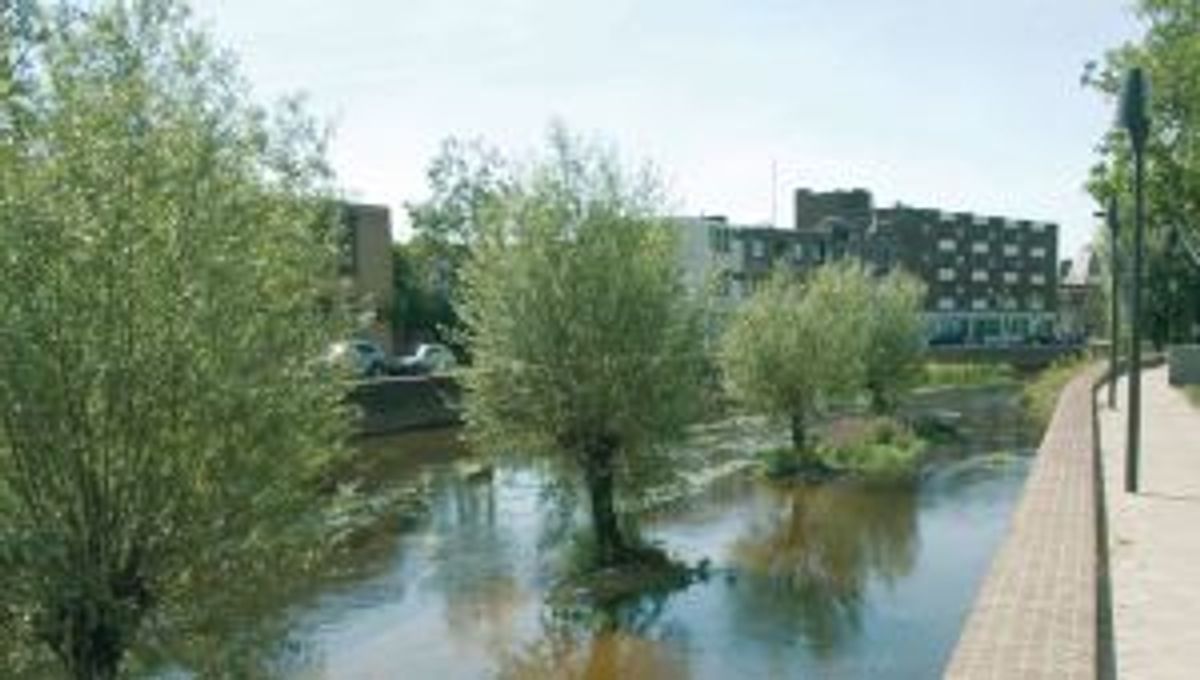 Een opknapbeurt voor de dommel in Eindhoven