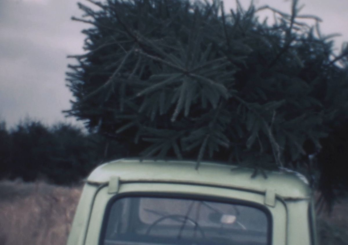 Een kerstboom halen, filmstill uit de film Van Prooijen, jaren 70, via BrabantinBeelden.nl