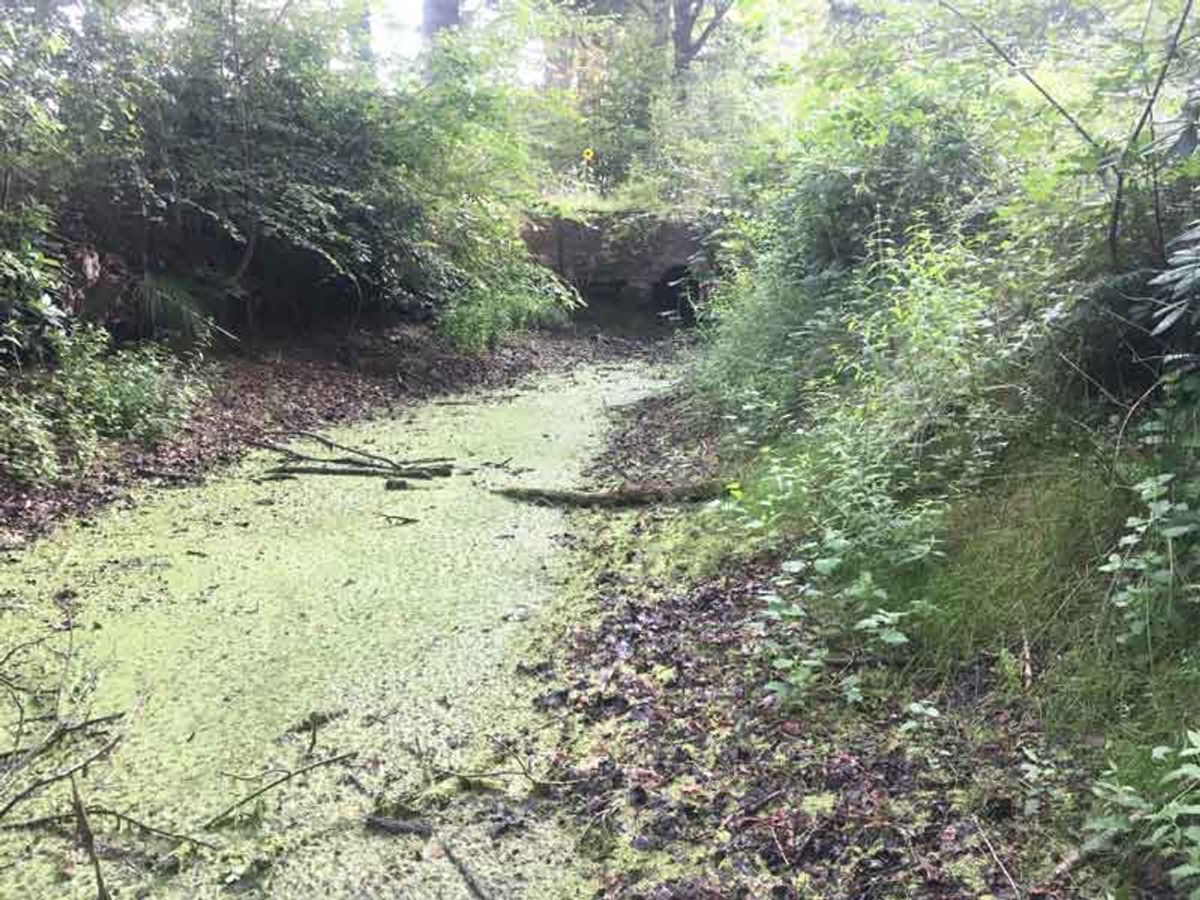 Gracht voorzijde met oprit vanaf pad links naar buitenverblijf