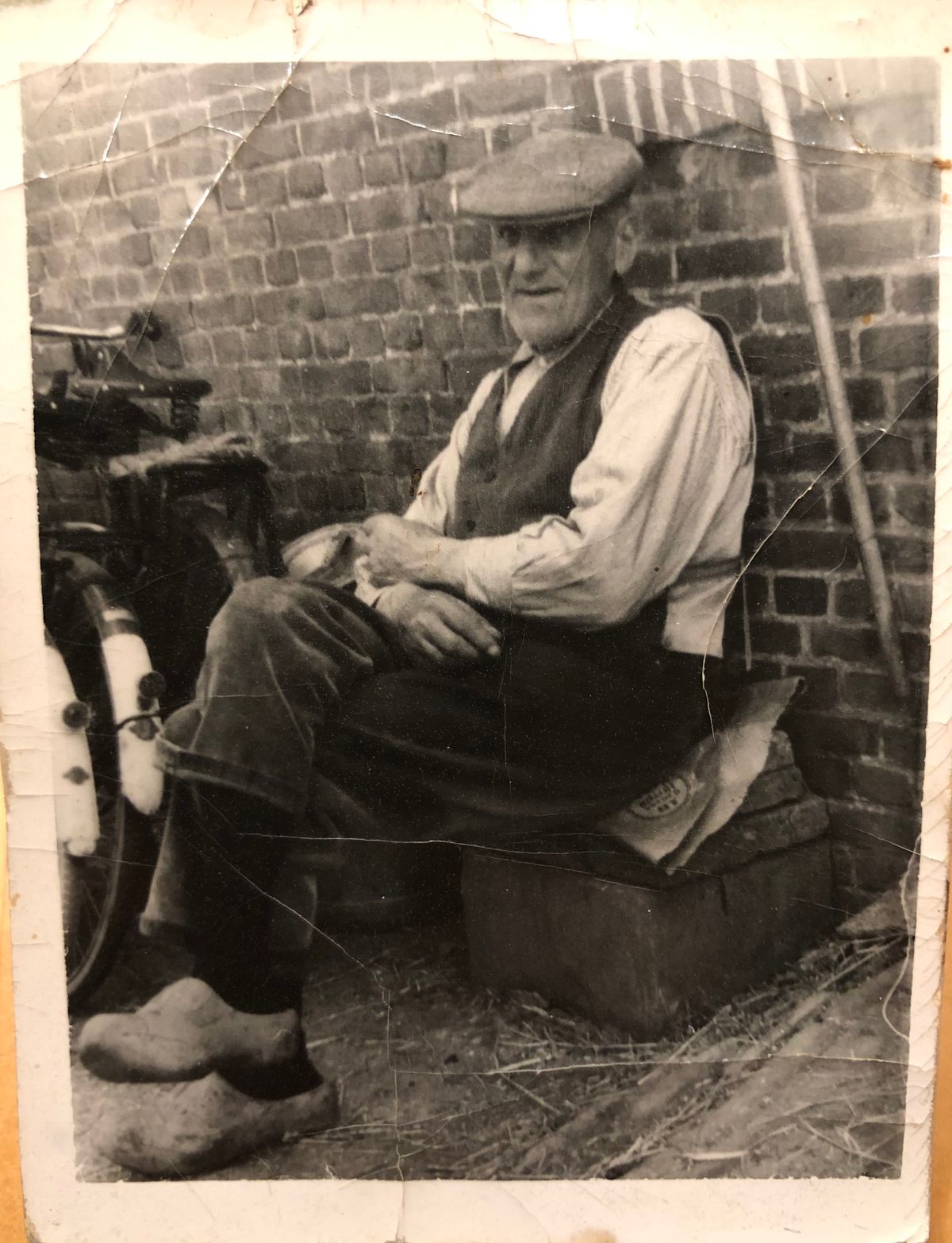 Koos