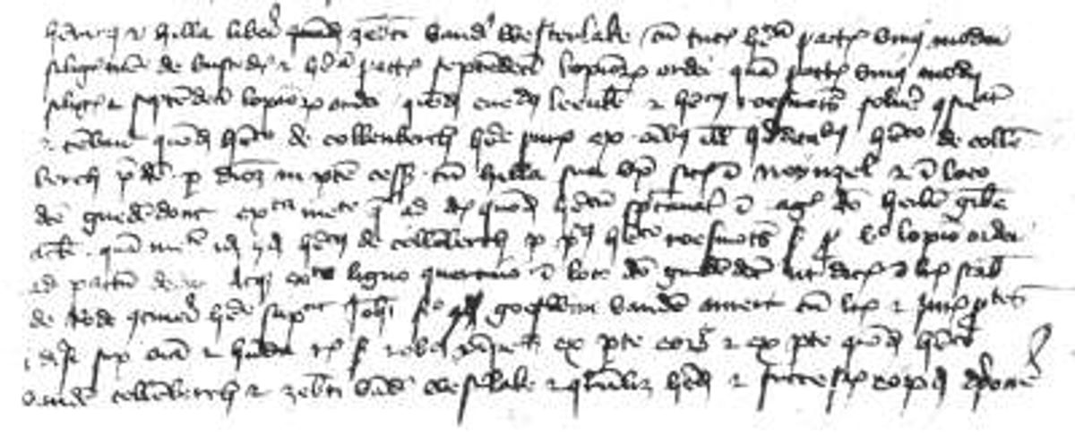 Den Dungen, akte van 1424