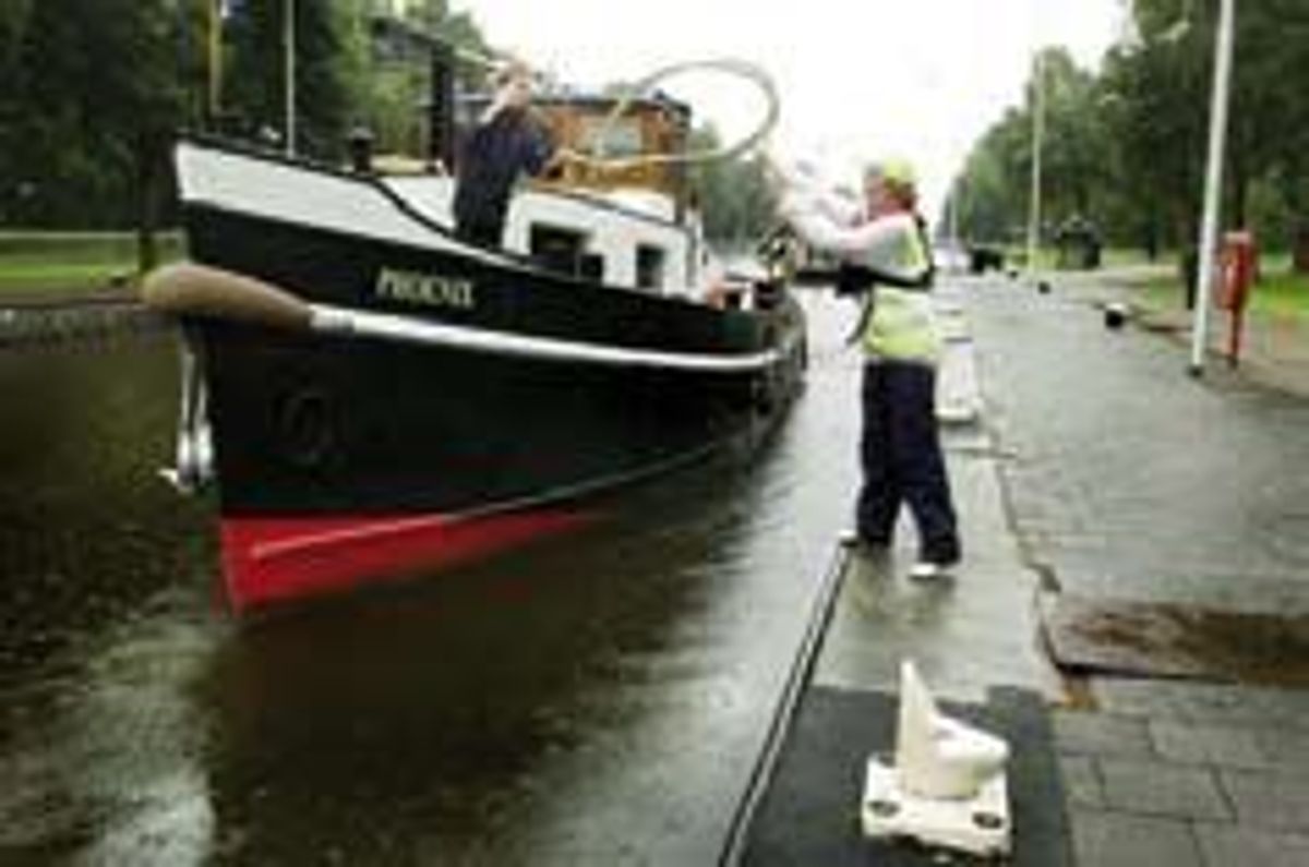 Steward Willem in actie