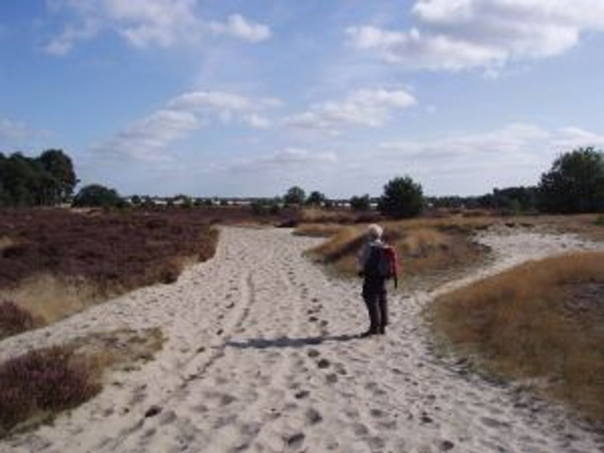 Loonse en Drunense Duinen