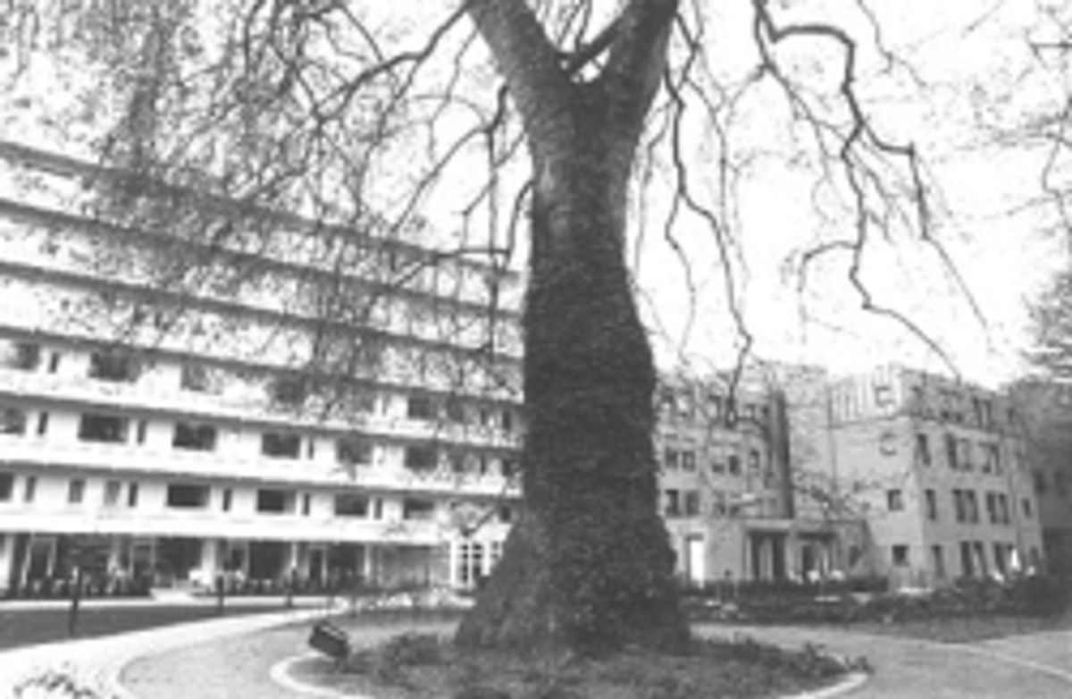 de Dijlehof in Leuven