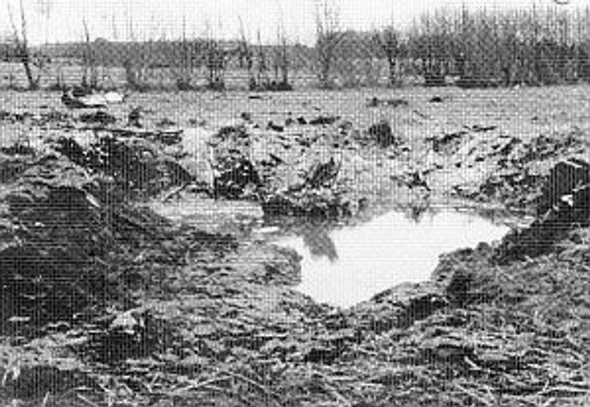 Boekel, de inslagkrater van de crash in januari 1953.