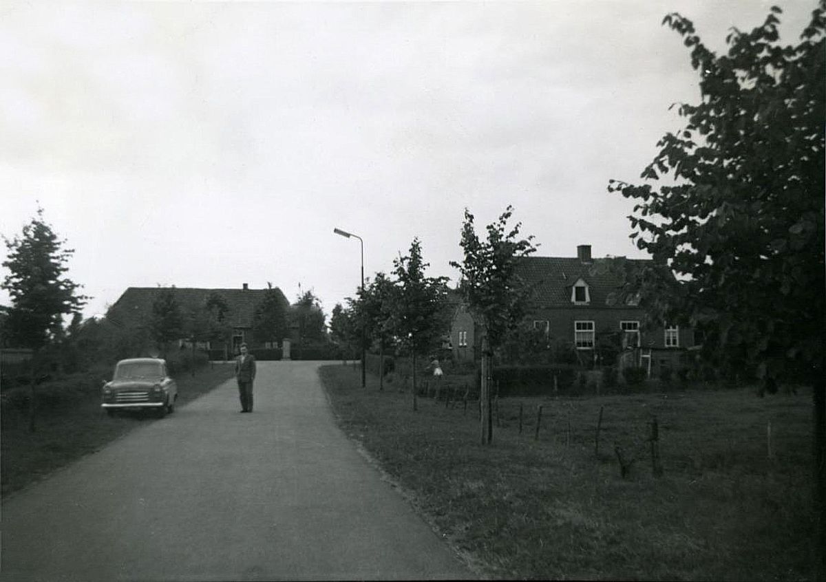 Van Coothstraat