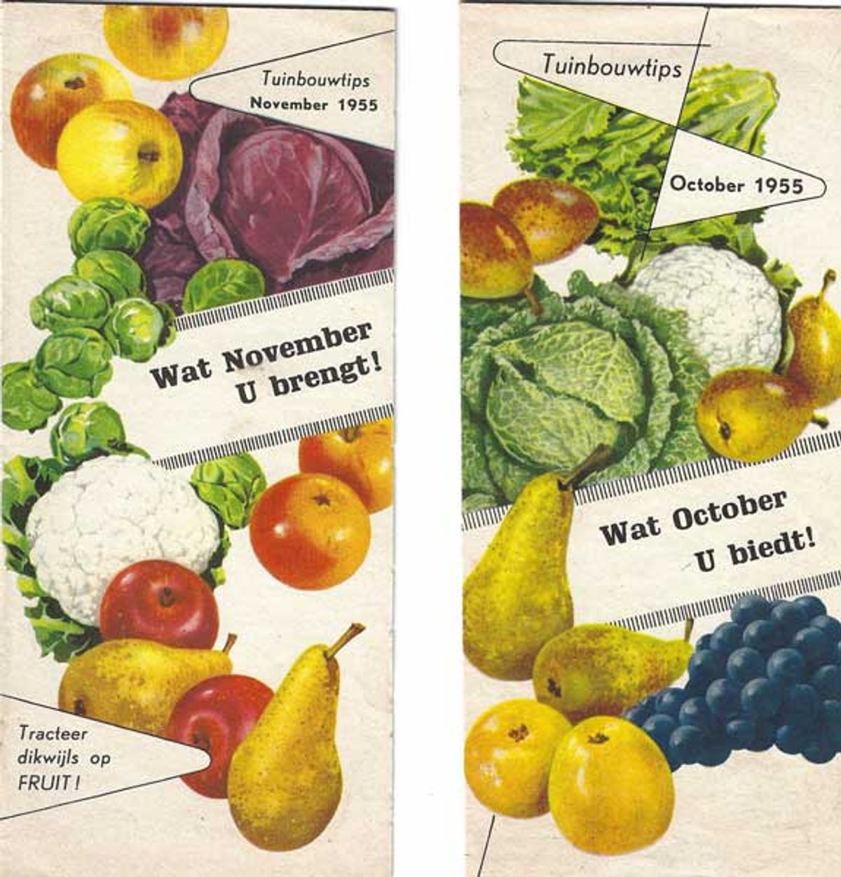 Reclamefolders uit 1955 die in het kookboek zitten