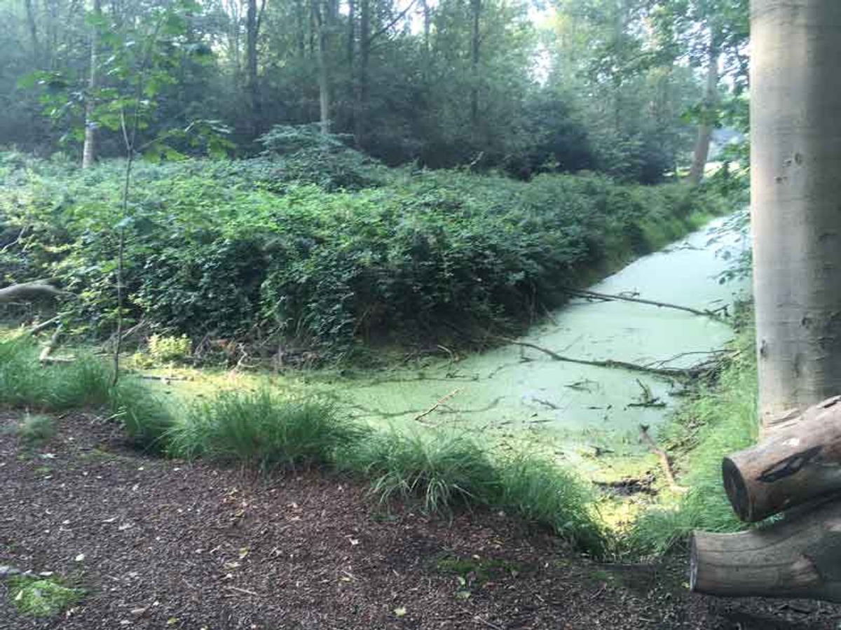 Gracht rechts van buitenverblijf vanaf doorgaand pad