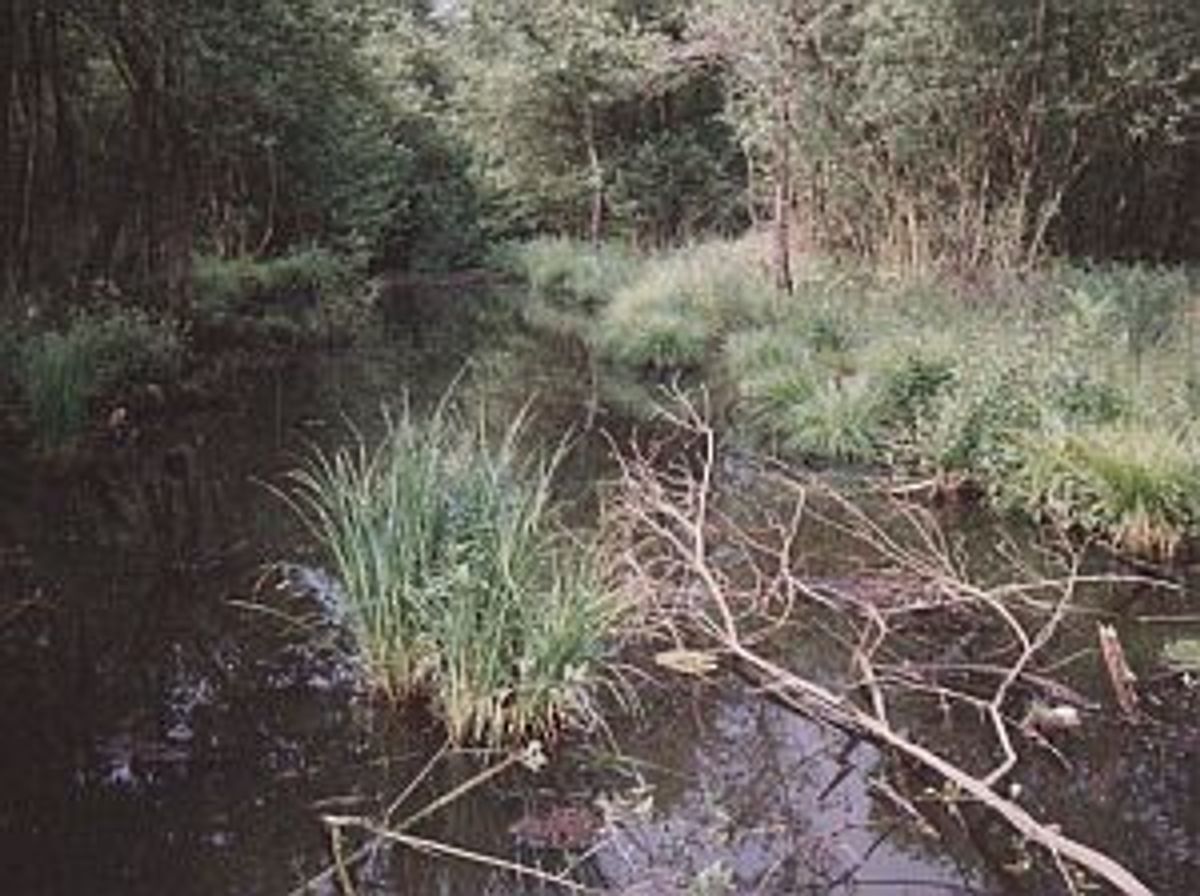 De Vilt, c. 1990