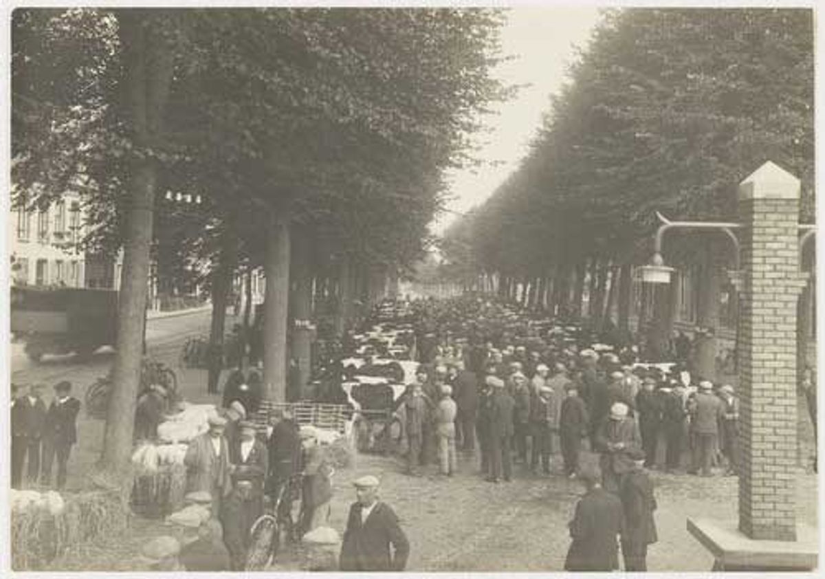 Veemarkt Etten, 1930 (WBA, RAW014015401)