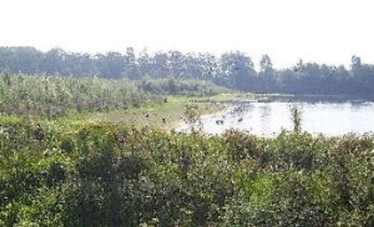 Biezenmortel, de Leemputten