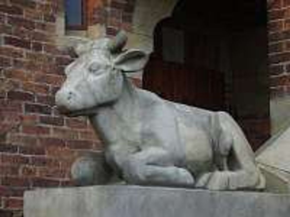 Foto: Bert de Vaan