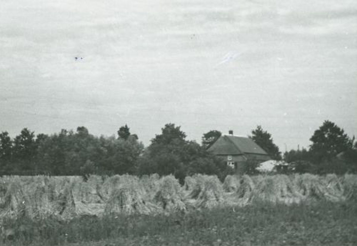Boerderij aan de Hooidonk
