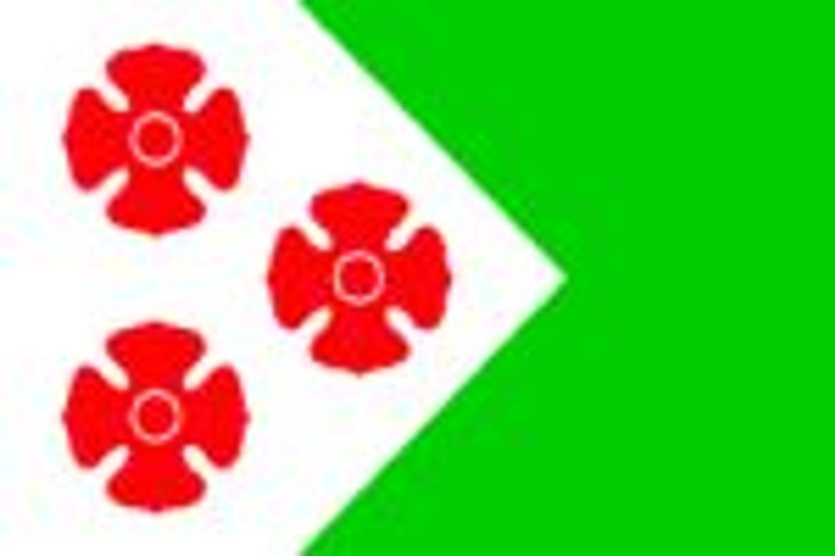 Vlag van de gemeente Maasdonk