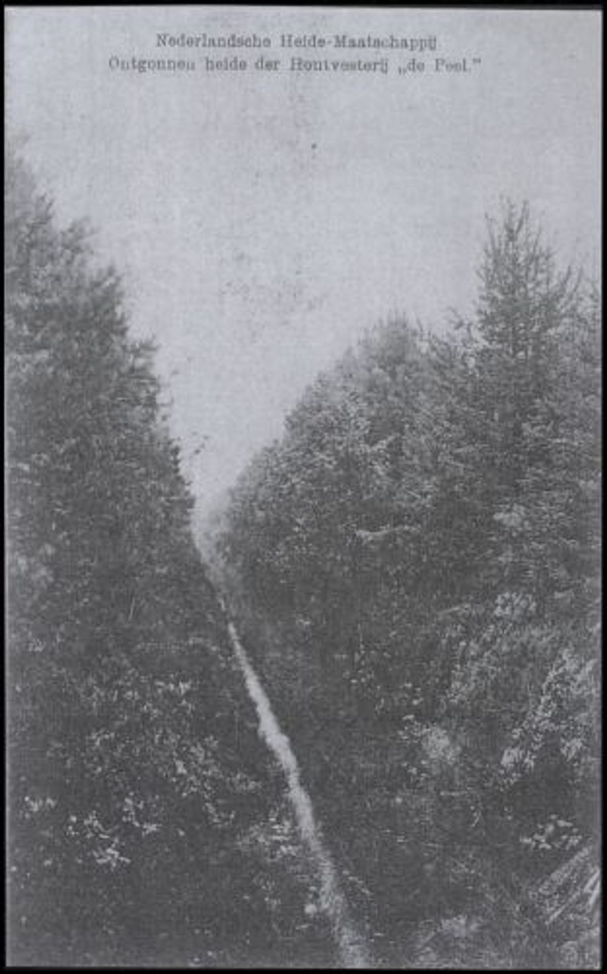 Houtvesterij "De Peel", in De Rips (Prentbriefkaart, uitgegeven ca. 1910 door Th. van Elten. Bron: Gemeentearchief Gemert-Bakel)