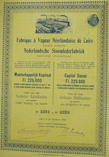 verdienen, leerlooierijen rijen aandeel stoomleerfabriek 1.jpg