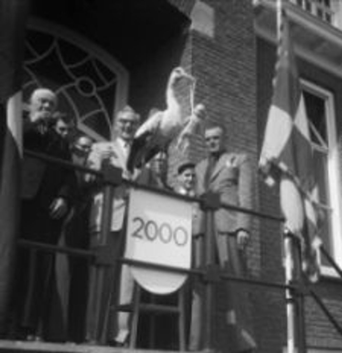 Feest bij gelegenheid van de geboorte van de 2000ste inwoner