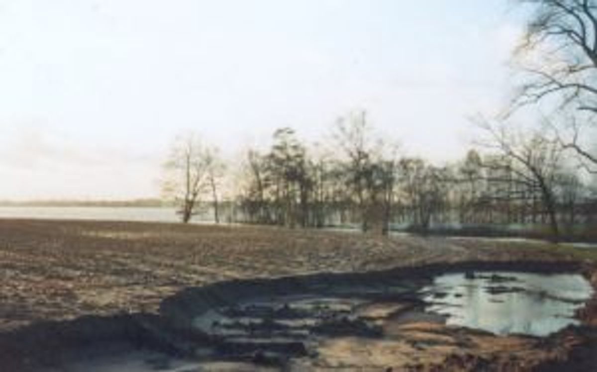 Helvoirtse Broek