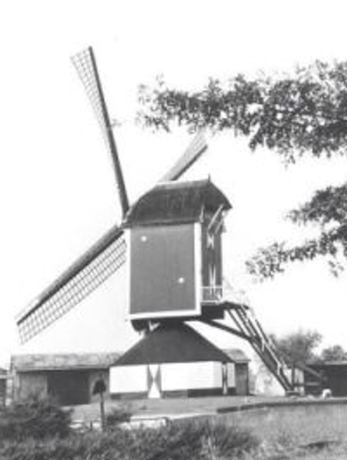 De Korenbloem