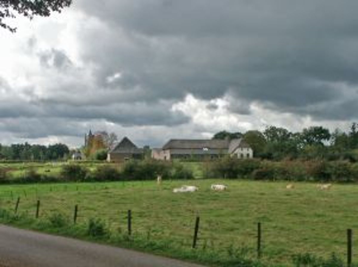 Gassel vanuit het overlaatgebied