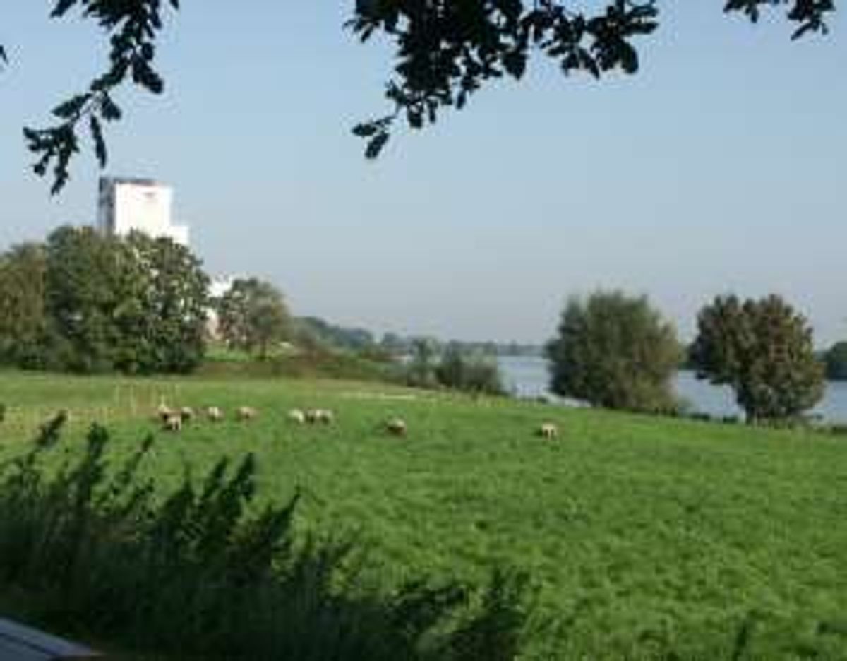 Zicht op de Maas bij Maashees