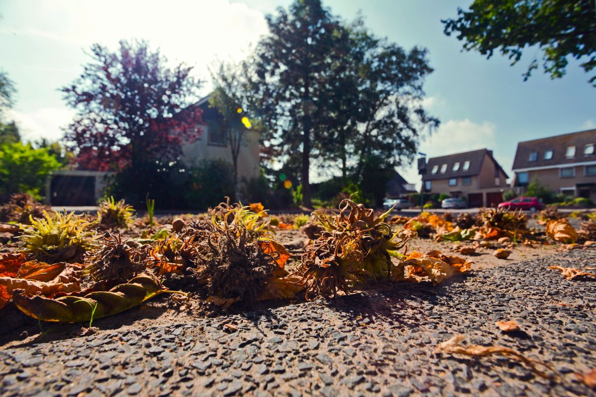 De wielerbaan lag waar nu de omgeving Gezellelaan is