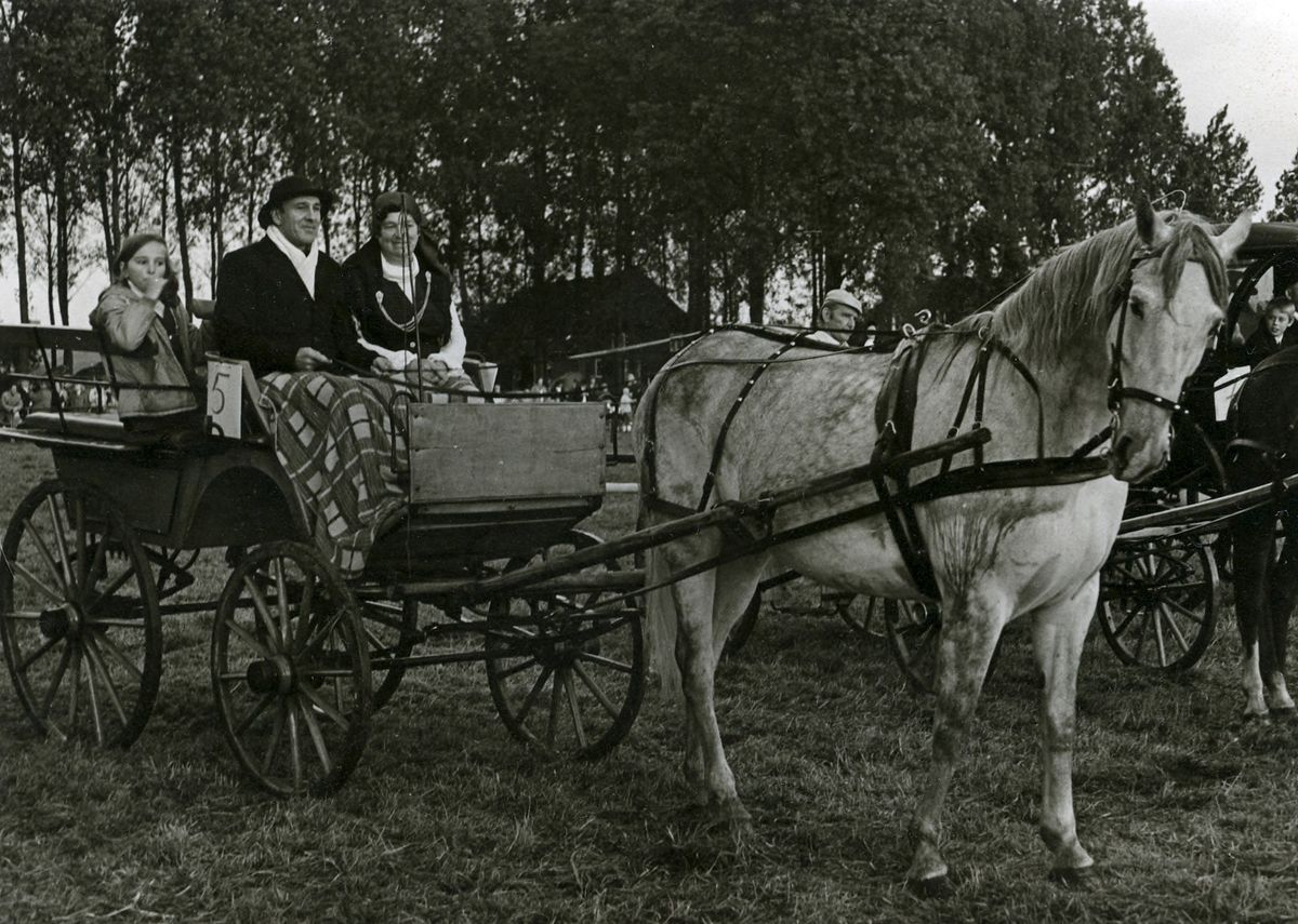 Met paard en wagen door Veghel