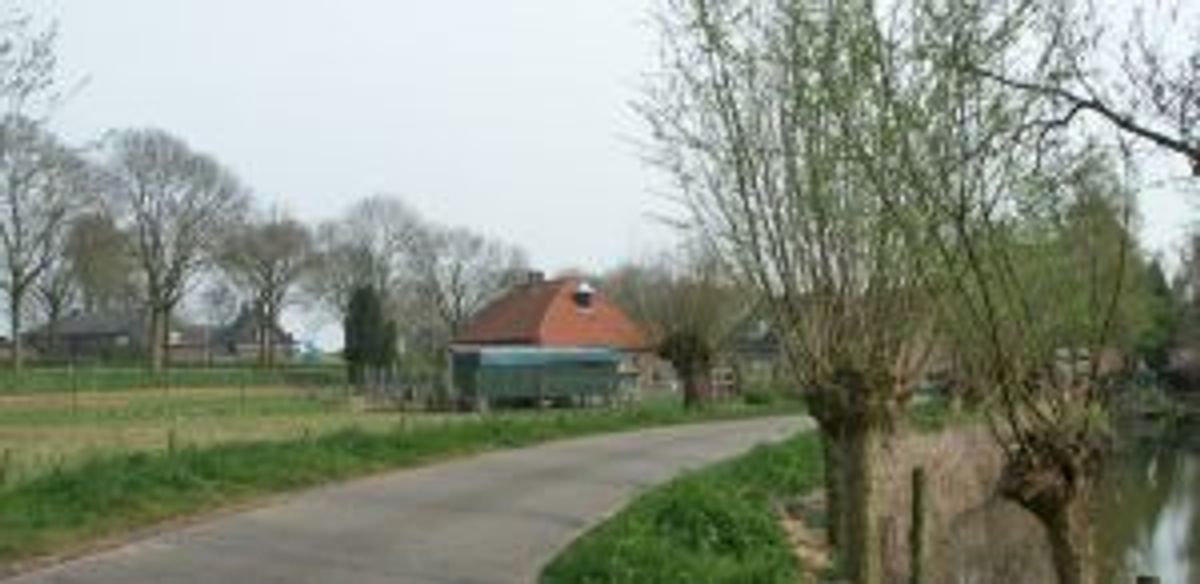 't Wild (foto: Henk Buijks / BHIC, 2007)