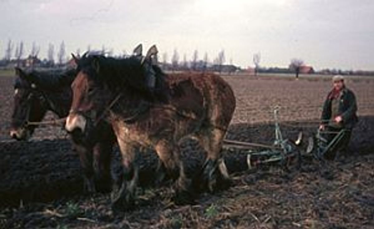 Foto gemaakt door Rini de Groot