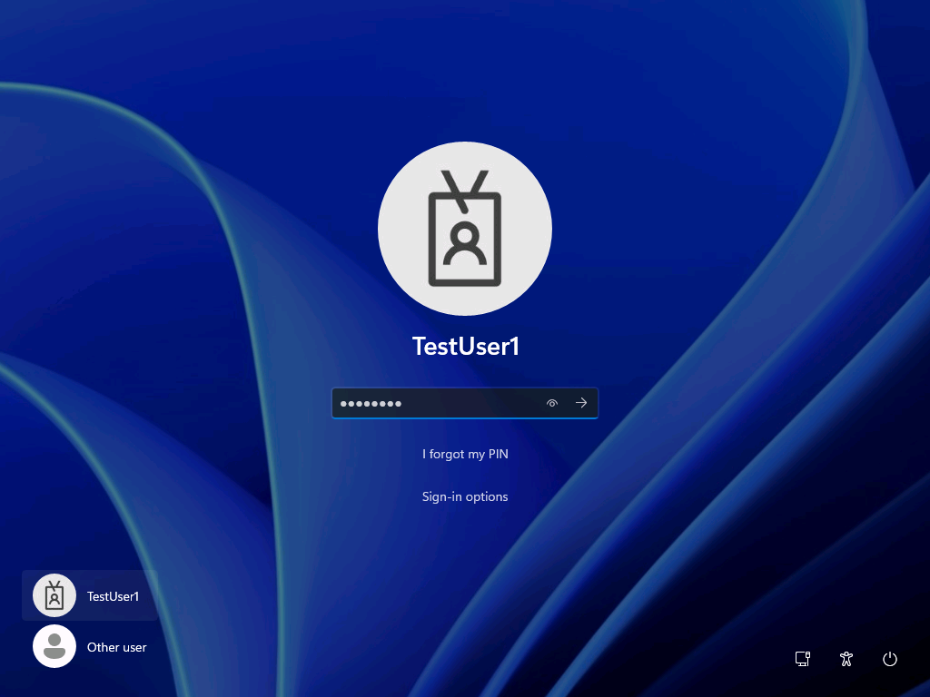 Set up Windows Kiosk Mode with Intune screenshot 26