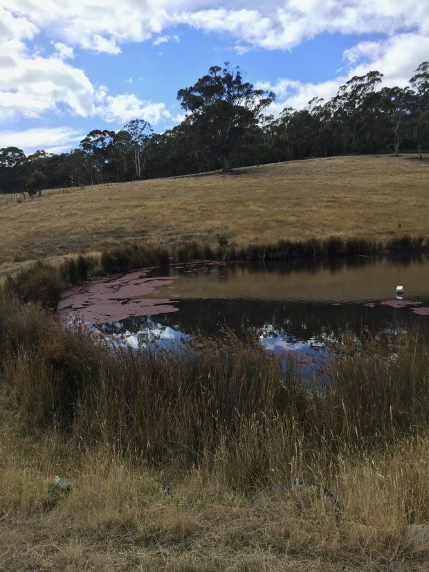 Bruny Island Residency 2017