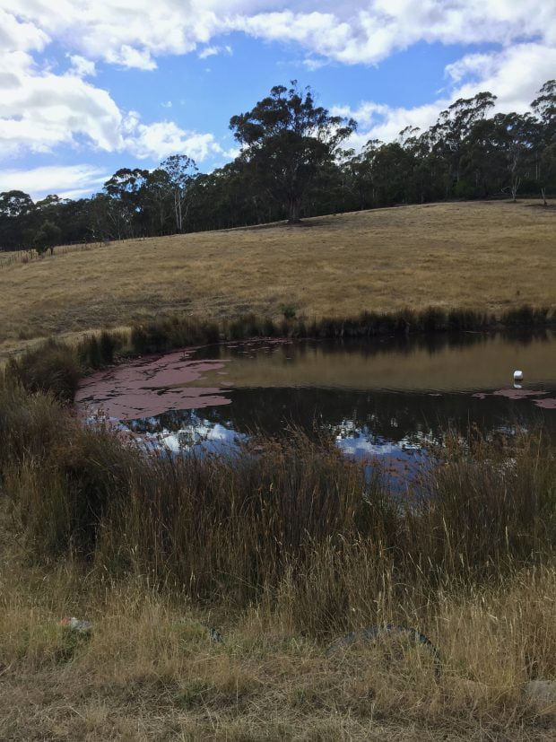 Bruny Island Residency 2017