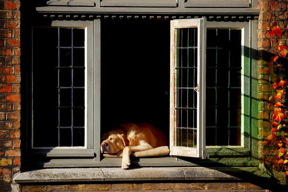 Zdjęcie ilustrujące etap rozwoju firmy