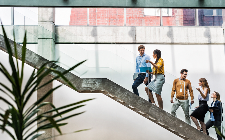 Professionals collaborating in a modern workplace during organisational culture transformation
