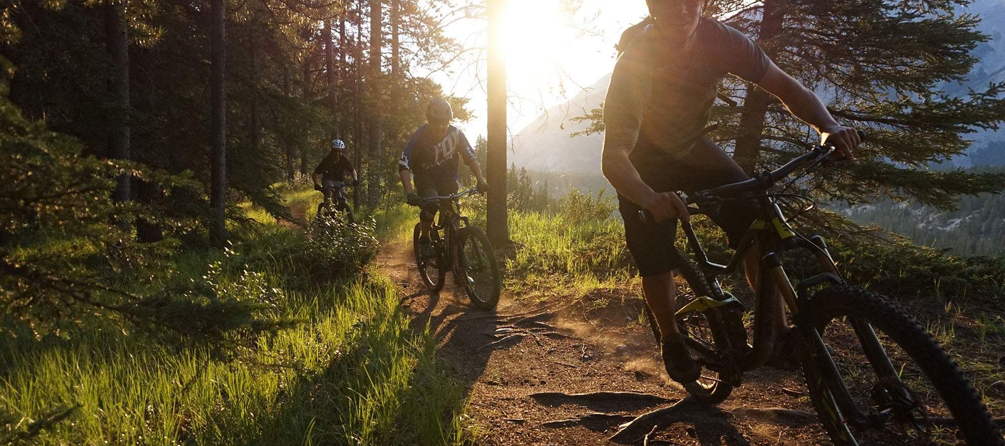 Mountain Biking, Tunnel Mountain, Banff National Park