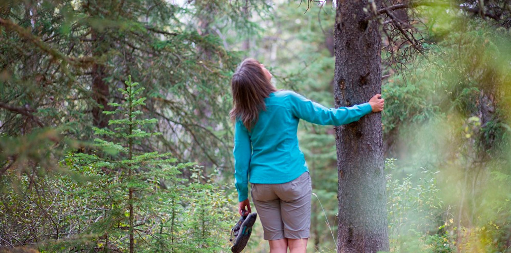 Forest Bathing in Banff National Park