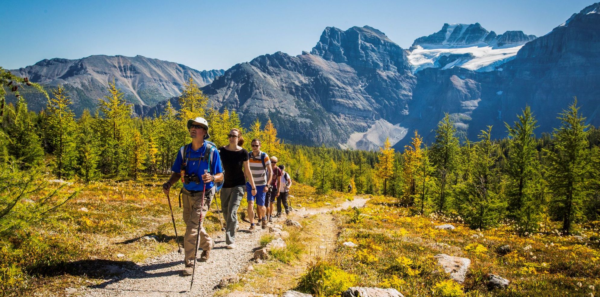 People go on a hike in Banff National Park in Larch Valley near Moraine Lake. Mountain in the background and walking through an alpine field.