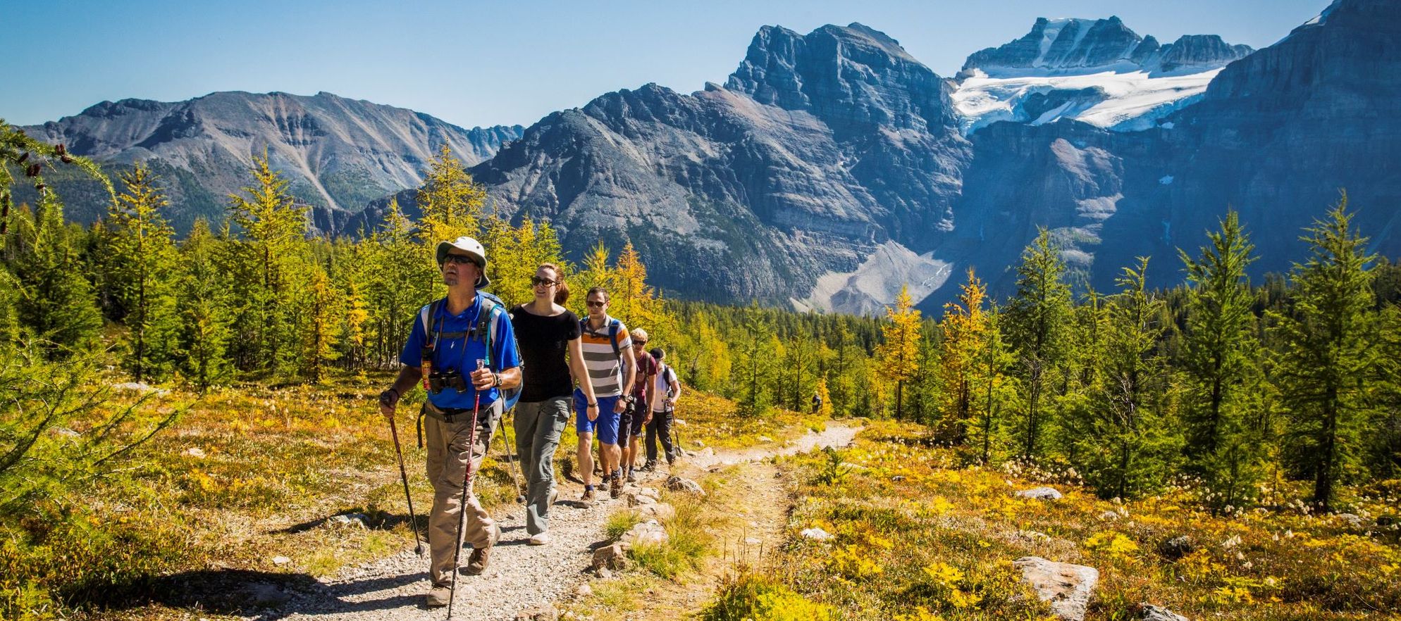 People go on a hike in Banff National Park in Larch Valley near Moraine Lake. Mountain in the background and walking through an alpine field.