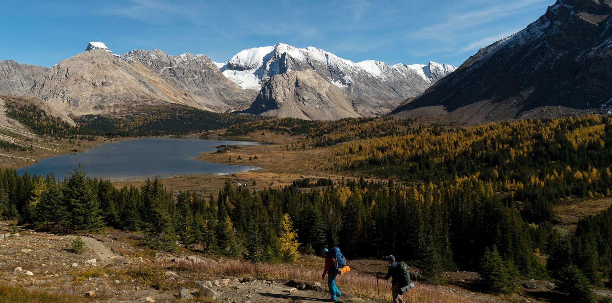 Baker Lake Approach, Banff National Park 