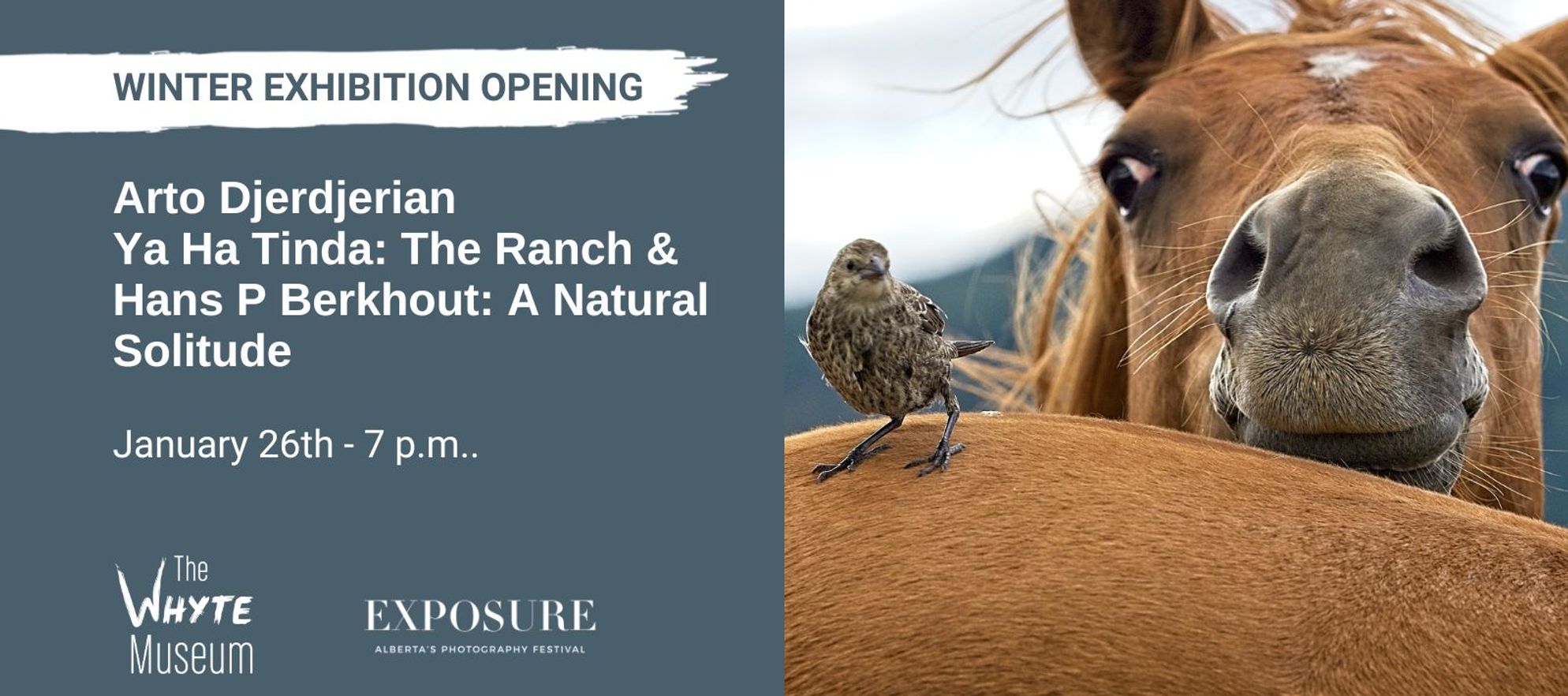 Arto Djerdjerian, On the Nose, July 2019. Digital print.