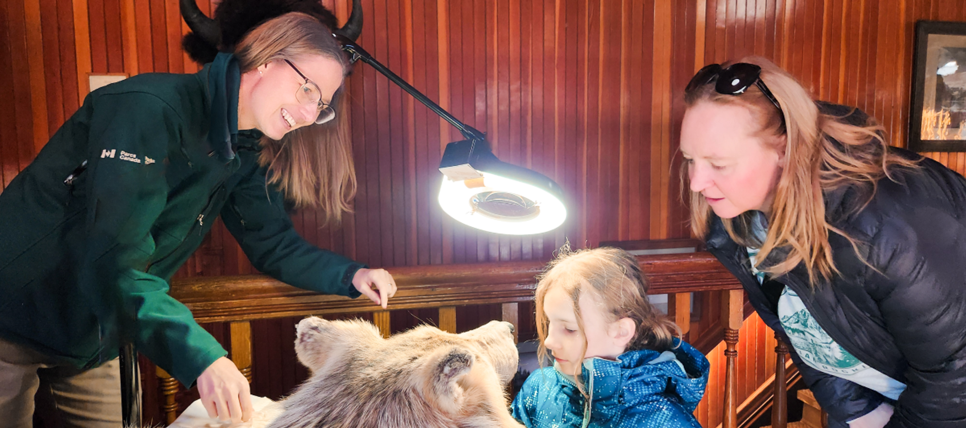 Take part in a museum's conservation work!