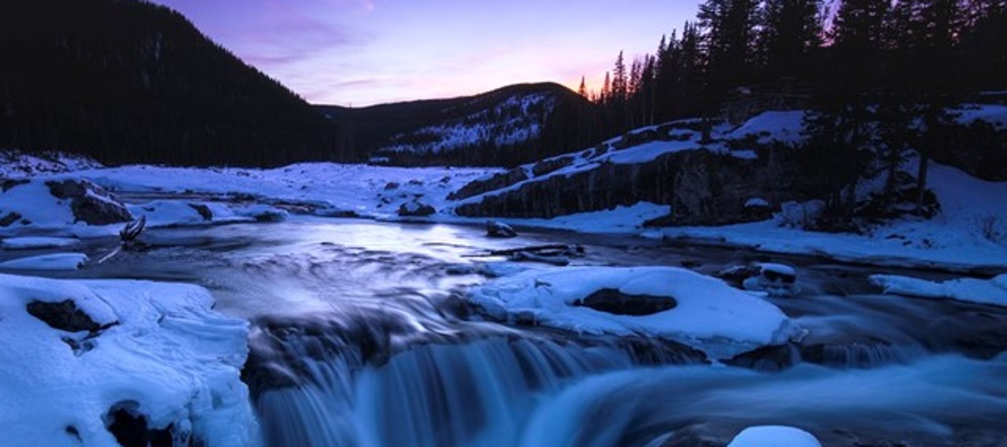 All In The Wild Gallery