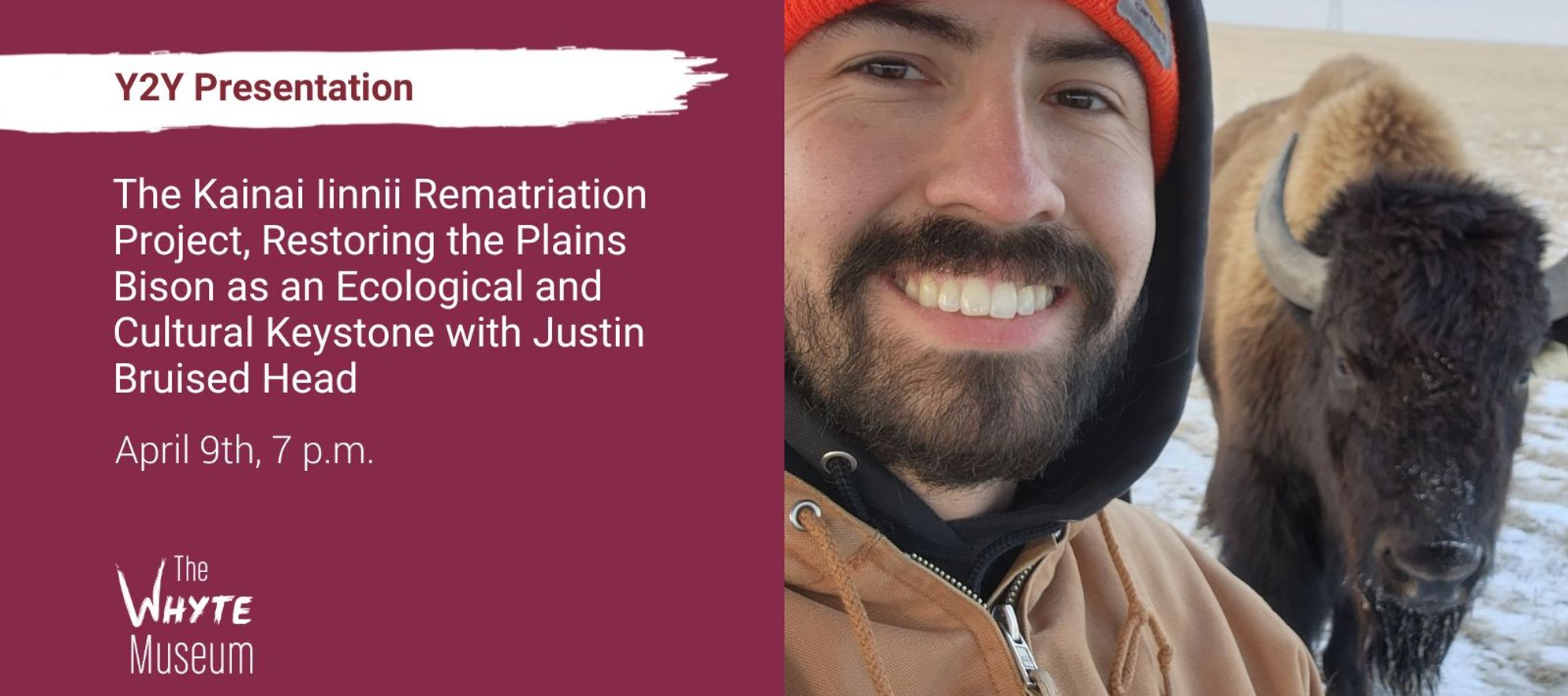 Y2Y- The Kainai Iinnii Rematriation Project with Justin Bruised Head