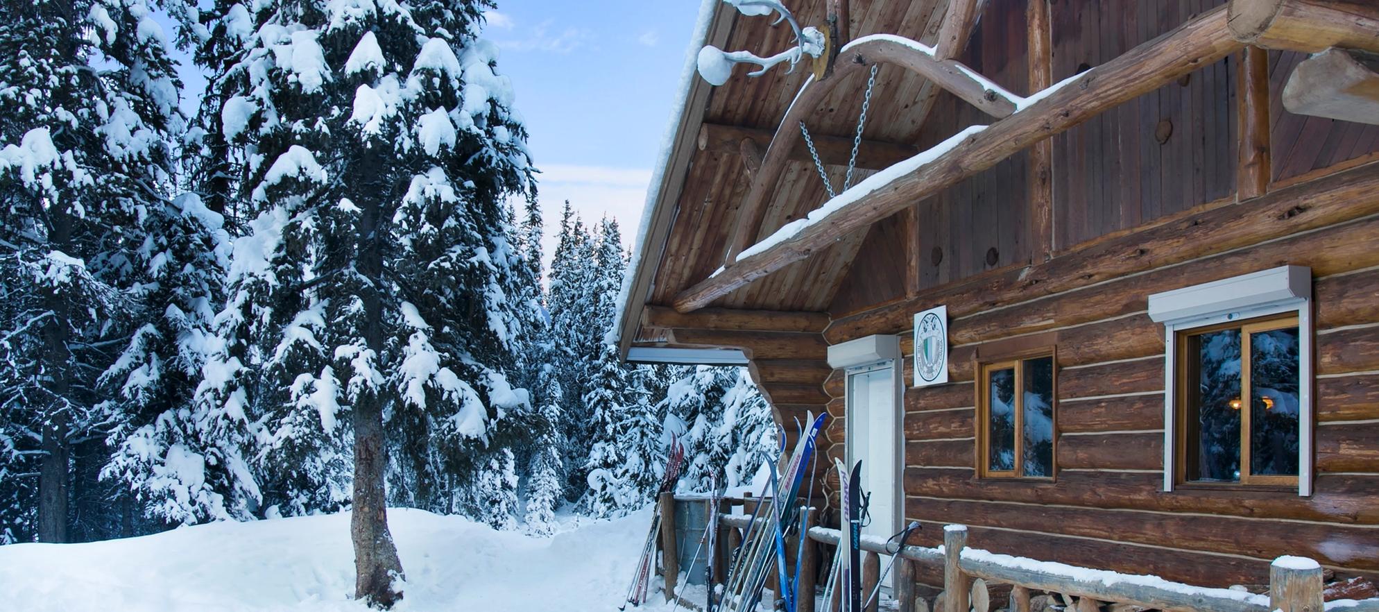 Black Bear Creative Portfolio