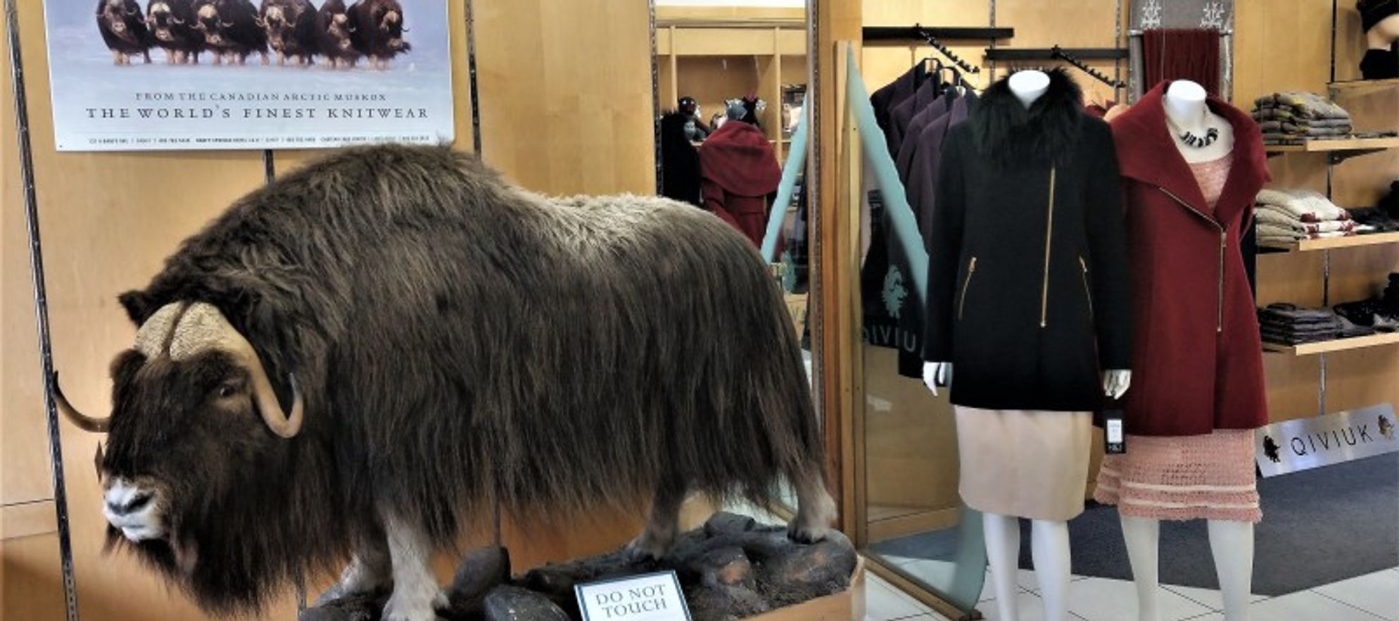 Jacques Cartier Clothier